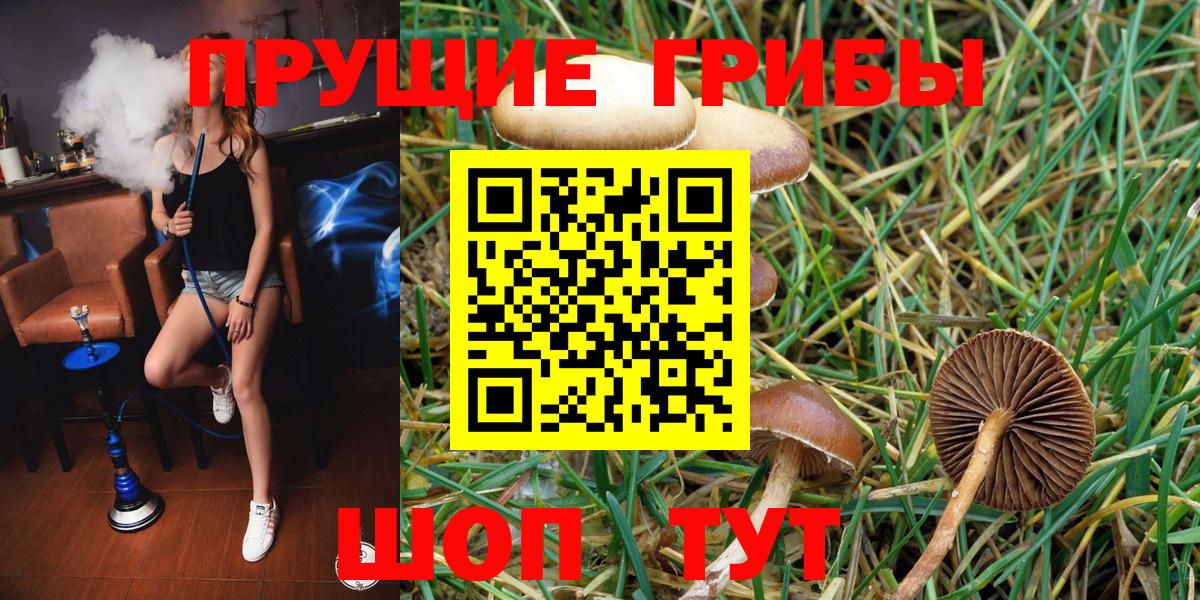 Галлюциногенные грибы Psilocybe  Вход с VPN  где найти наркотики  Бор 