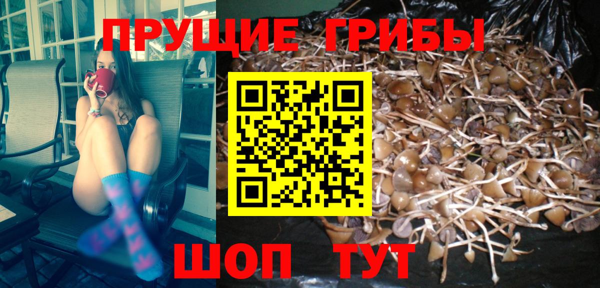 Псилоцибиновые грибы мухоморы Бор